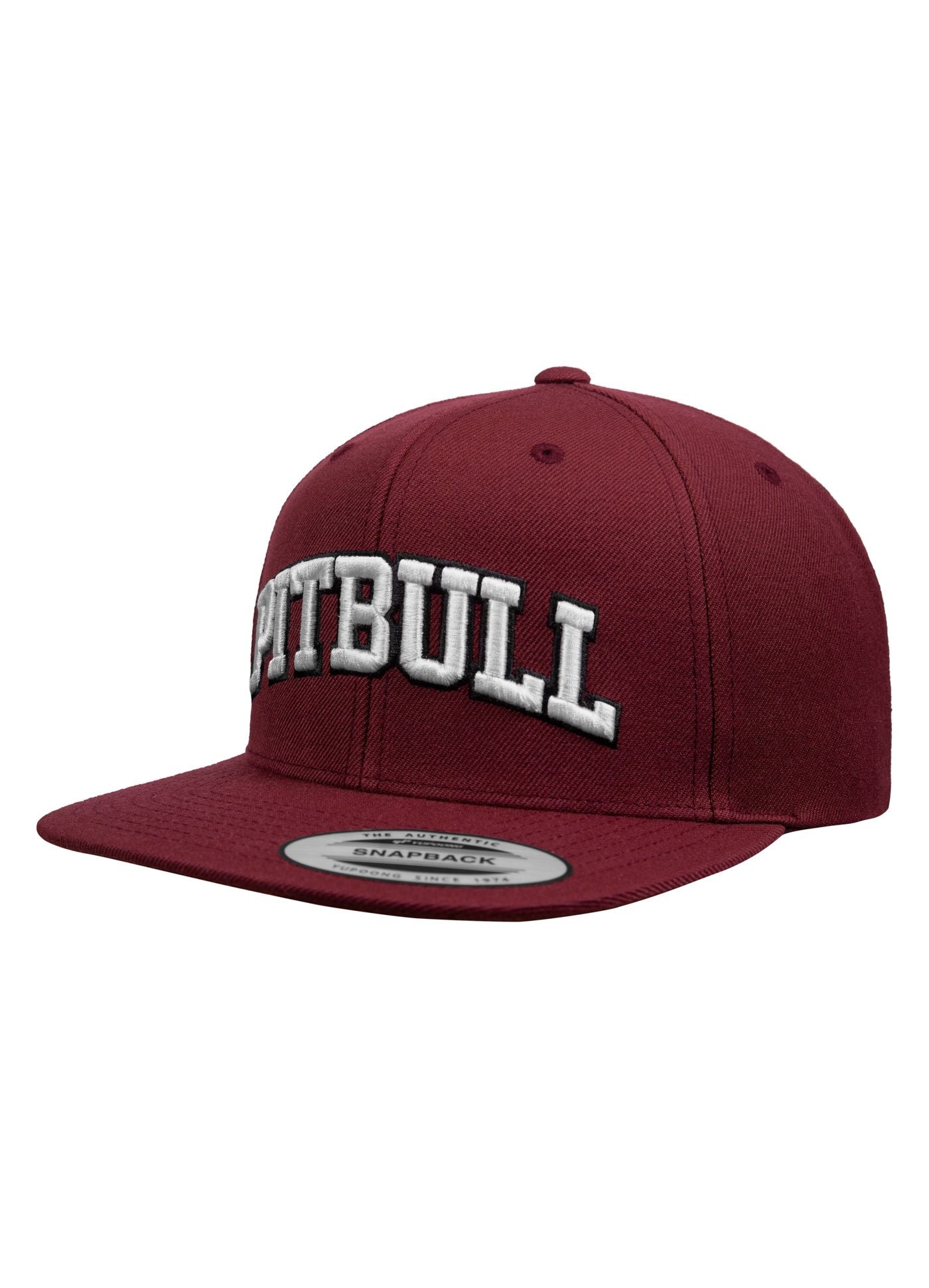 Snapback PITBULL