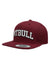 Snapback PITBULL